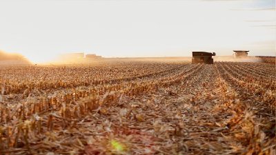 Different Types of Services Available With Crop Spraying in Grant County, WI