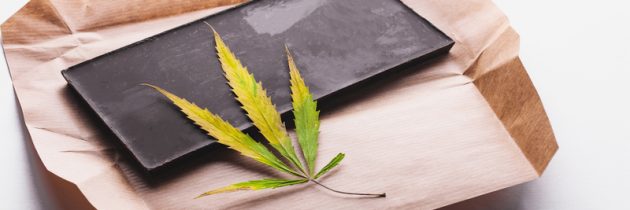 What to Expect When Shopping at a Worcester Dispensary Near Me