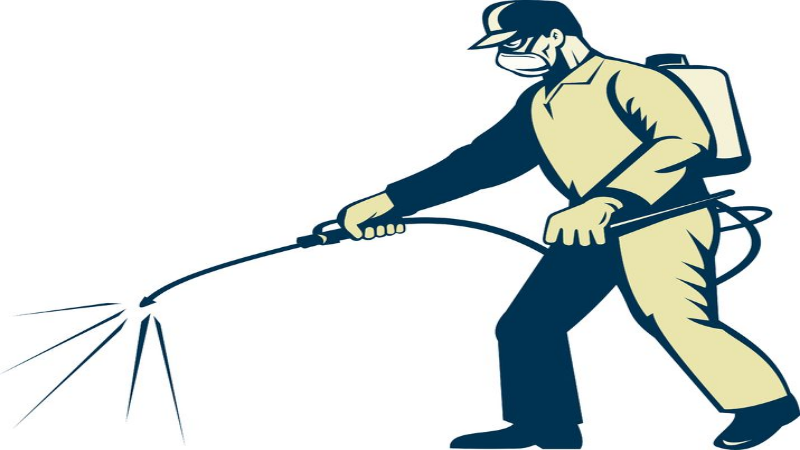Get Rid of Pests for Good With the Help of an Exterminator in Peachtree City, GA
