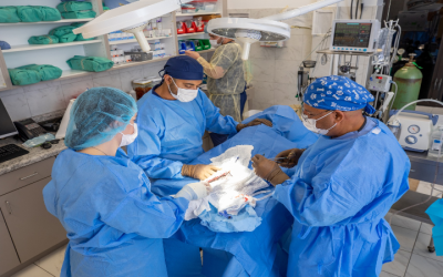 How a Cat Paw X Ray Monmouth County, NJ Can Ensure Faster Recovery for Your Pet?