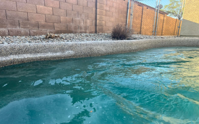 Why Choosing a Local Pool Tile Cleaning Service Makes a Difference