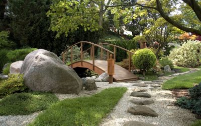 Transform Your Outdoor Space with a Landscape Designer Bellevue WA Homeowners Trust